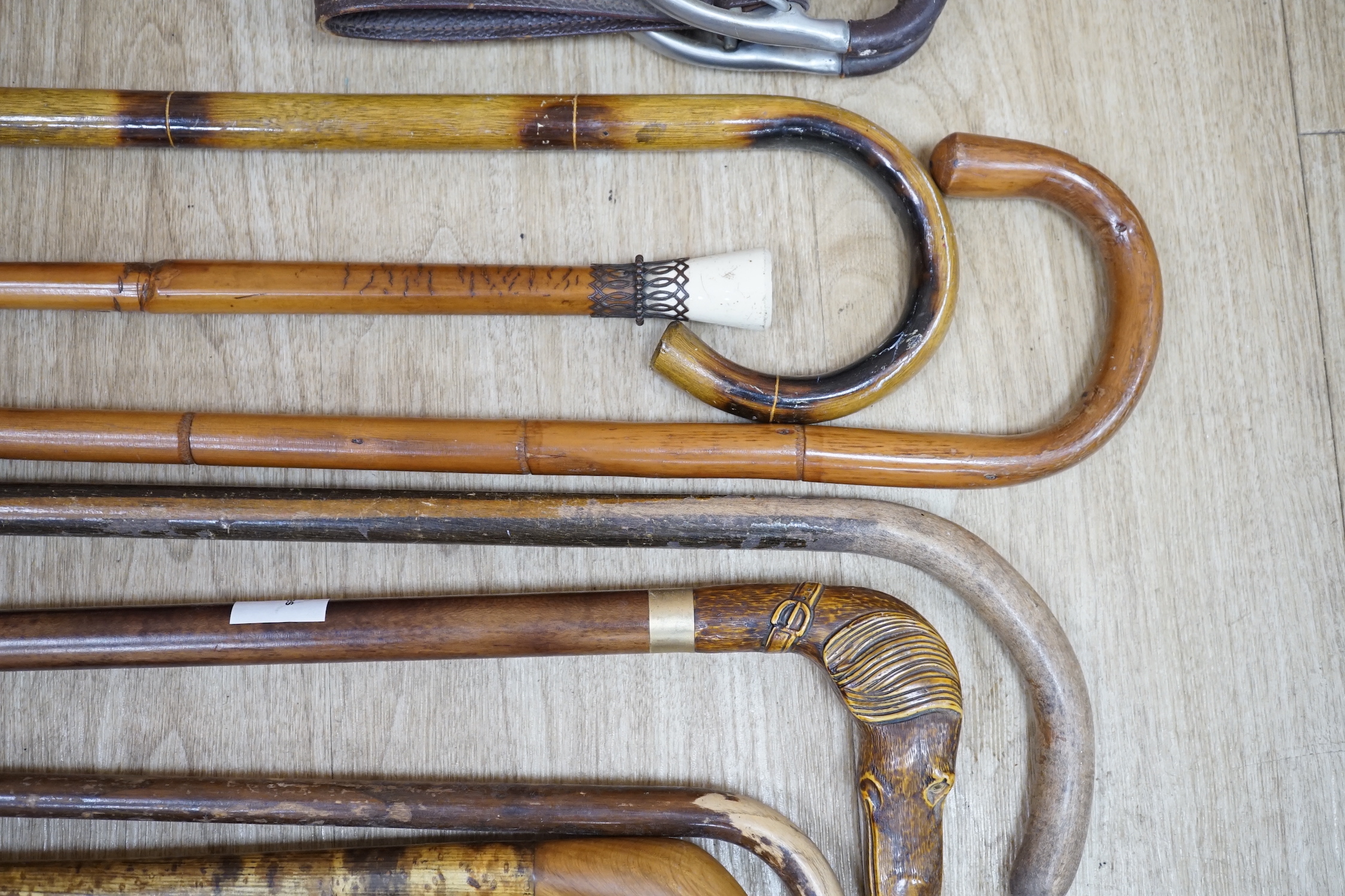 A group of eight various wood walking sticks including a carved ‘dog head’ stick, a cane and a shooting stick